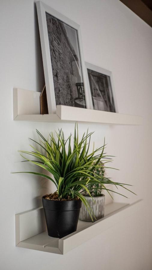Molino Candeal Hotel Boutique & Apartamentos Caniles Екстериор снимка